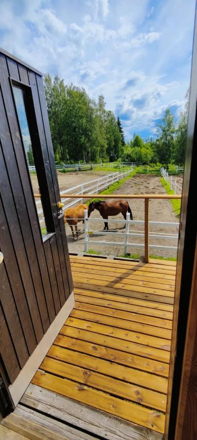 Bb Polle - With The Horse View Daire Mikkeli Dış mekan fotoğraf